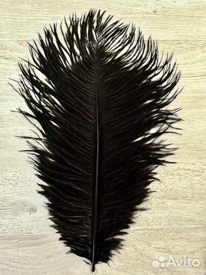 Перья страуса цветные