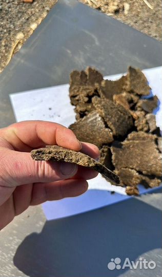 Жмых подсолнечный ГОСТ