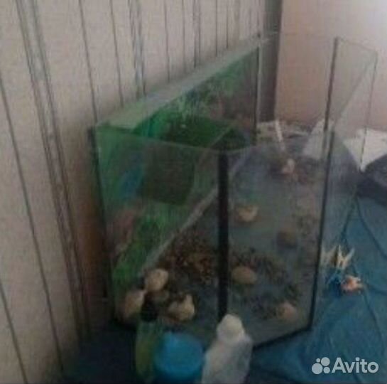 Аквариум 100 литров