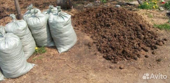 Конский навоз