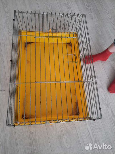 Клетки для грызунов