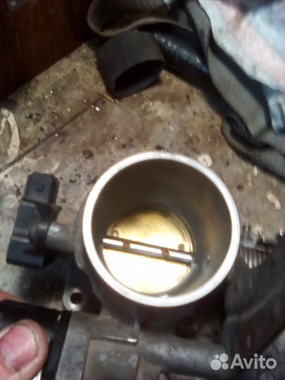 Рено сценик 1