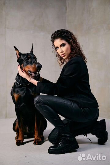 Фотосессия с доберманом