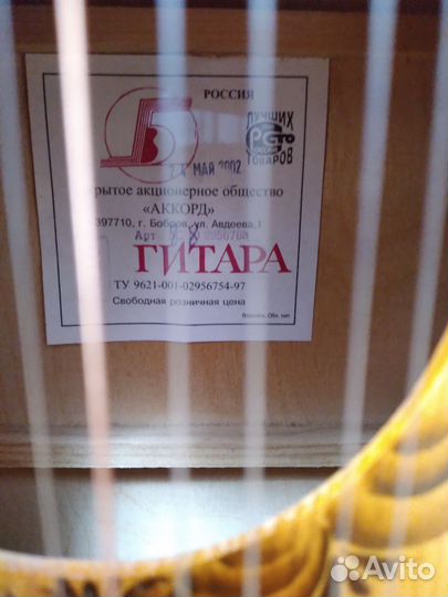 12 струнная гитара