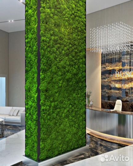 Панно из мха, вертикальное озеленение