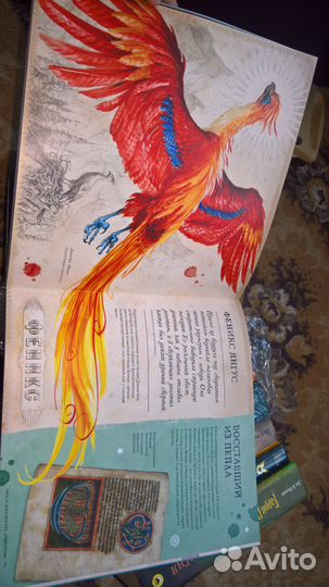 Путишествие в историю волшебства Гарри Поттера