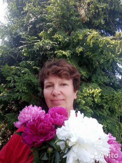 Репетитор по русскому языку