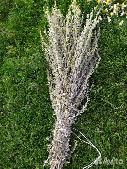 Лечебные травы для бани