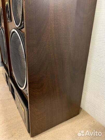 Колонки Padiotehniks S-90, Электроника Б1-01