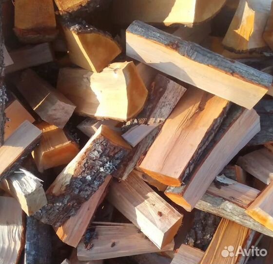 Дрова береза