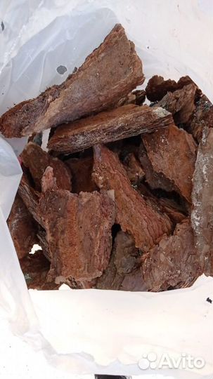 Кора сосны и лиственницы