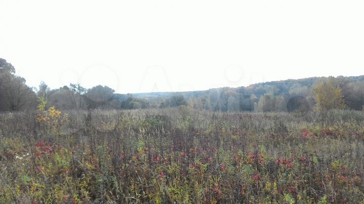 Участок 42 га (ИЖС)