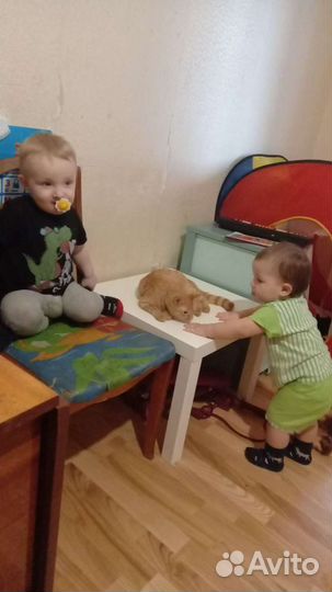 Няня для деток