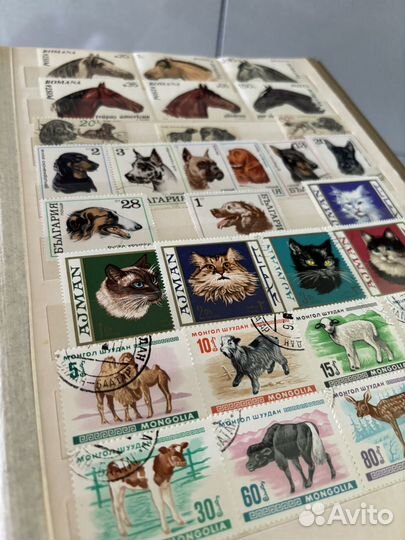 Коллекция почтовых марок СССР 9 альбомов