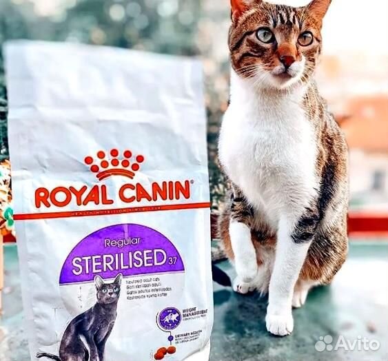 Корм сухой роял канин для кошек Royal Canin для ко