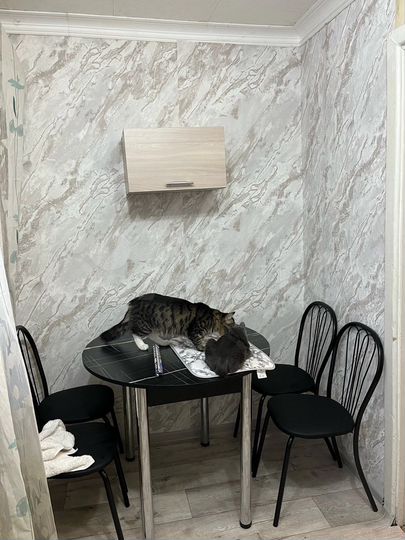 Доля в 3-к. квартире, 51 м², 1/2 эт.