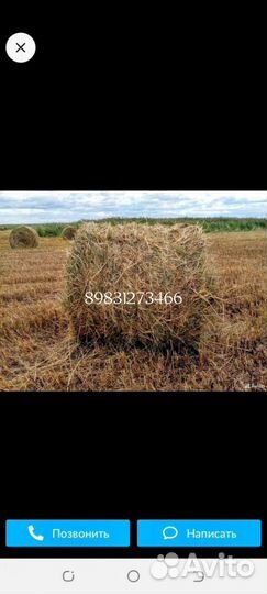 Продам сено в рулонах