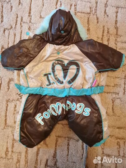 Одежда для собак мелких пород