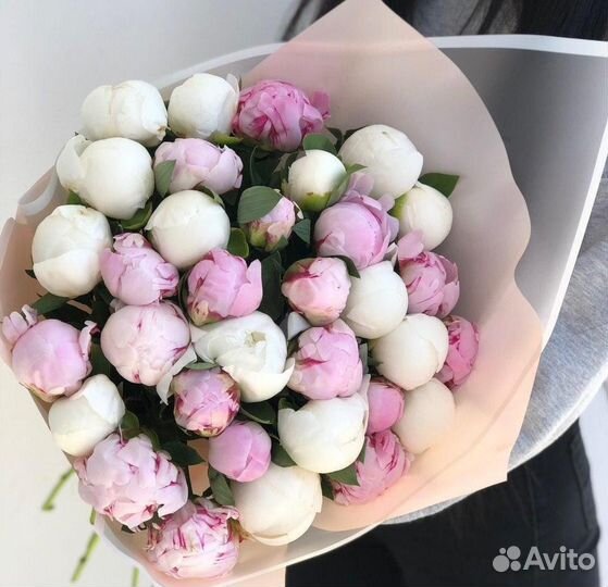 Цветы пионы и букеты с доставкой