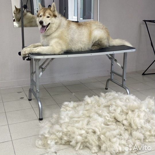 Экспресс линька собак кошек