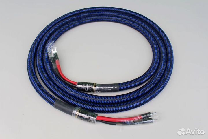 Zonotone 7NSP-Shupreme 1