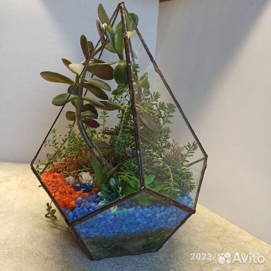 Флорариум 20 на 25 см