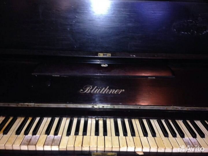 Пианино bluthner
