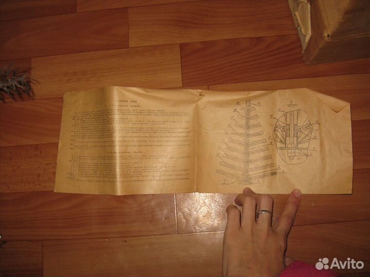 Елка серебристая СССР