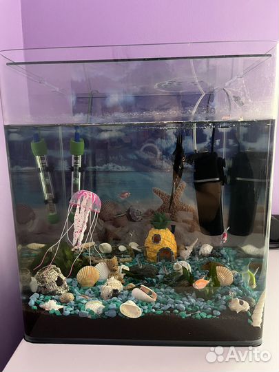 Аквариум с рыбками