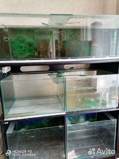 Аквариум