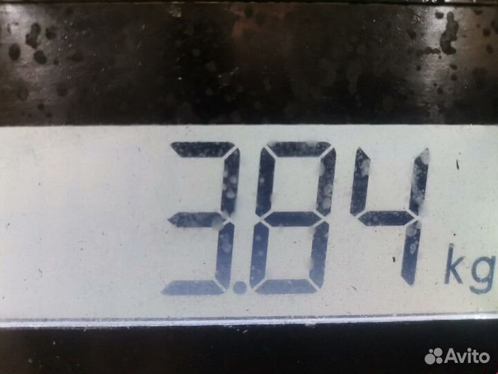 Коллектор впускной Audi A4 B6 2002