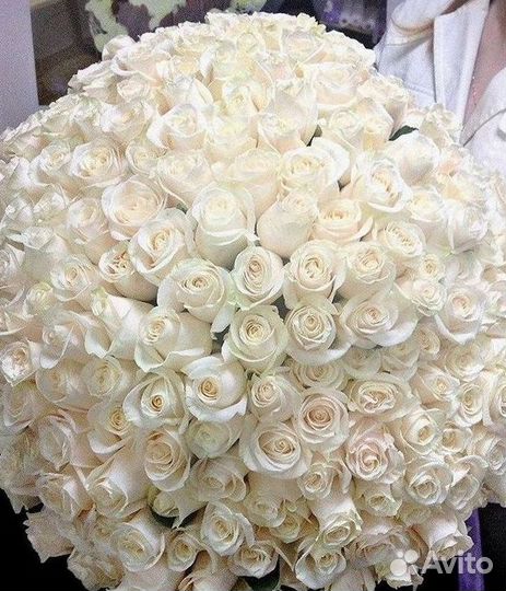Розы Цветы Букеты 25 51 151 201 101 301 501 опт