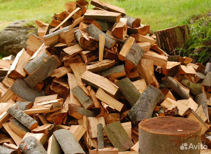 Дрова береза