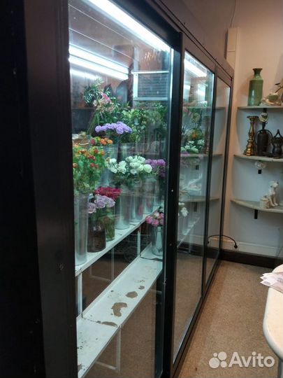 Холодильная камера для хранения и выставки цветов