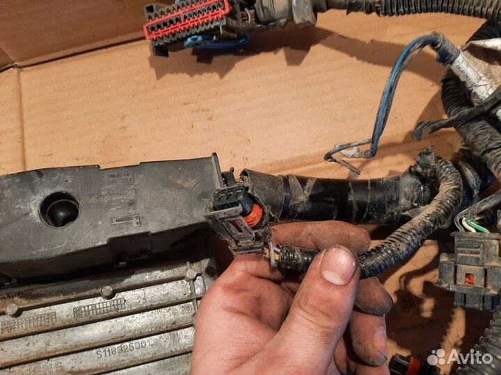 Эбу мозги на ford focus 2 1.6