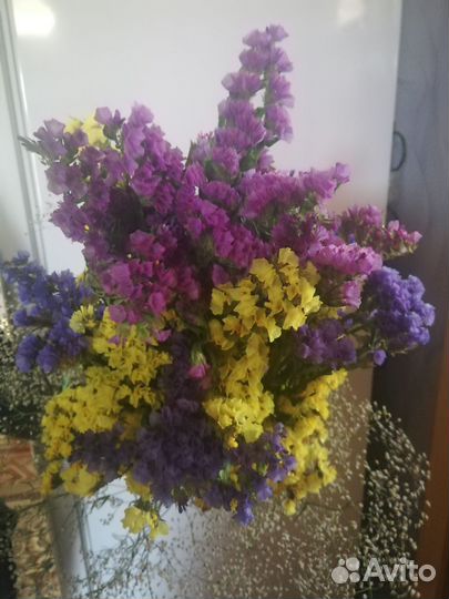 Цветы, букеты, из сухоцветов, хорошего качества