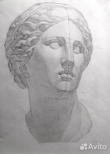 Академический рисунок. Подготовка к вузу