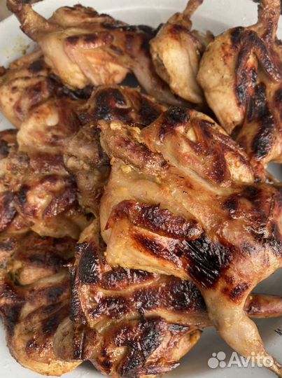 17.09.2023 охлажденное мясо перепелов