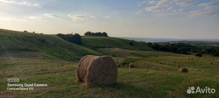 Сено в рулонах