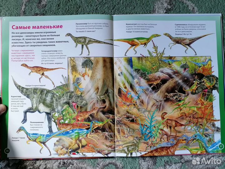 Книга Мир динозавров