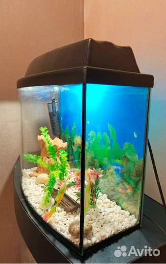 Аквариум 30 литров