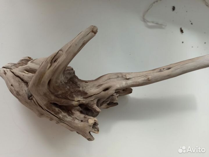 Коряга мангровая в аквариум