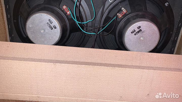 Гитарный комбоусилитель Dinosaur (USA)