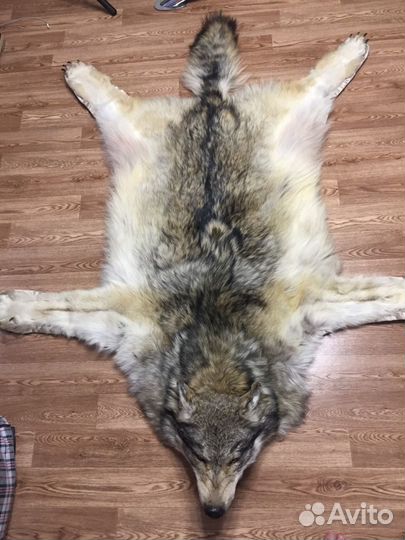 Ковёр из шкуры Волка новый