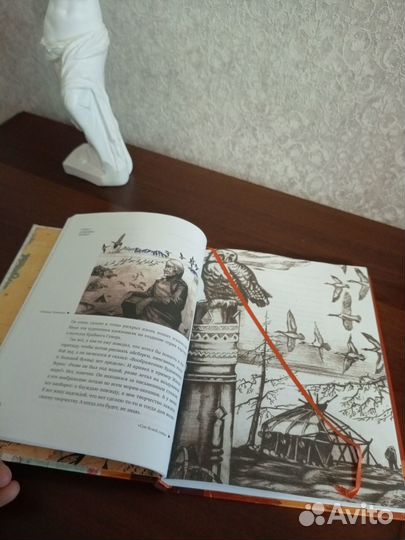 Федор Конюхов. Мои путешествия. Следующие 10 лет