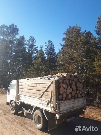 Дрова сухие Сосна, Лиственница, 50/50