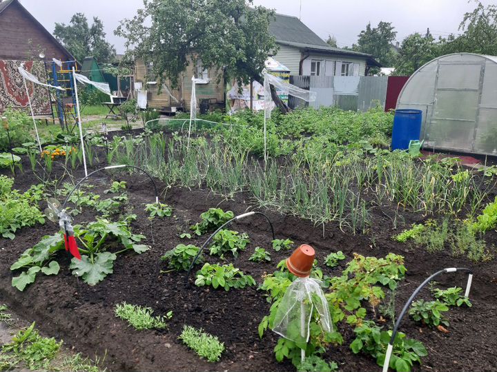 Участок 9 сот. (ИЖС)