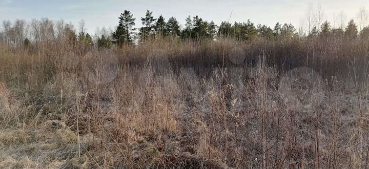 Участок 24 сот. (СНТ, ДНП)