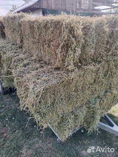 Сено люцерна, разнотравие