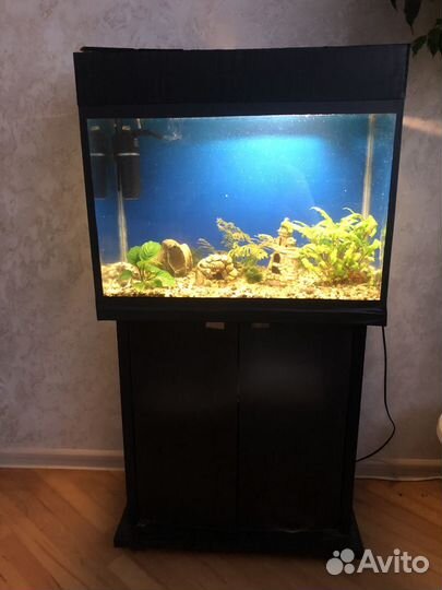 Аквариум с тумбой